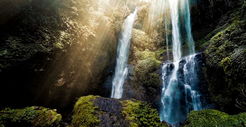 Scenic view of waterfall in forest