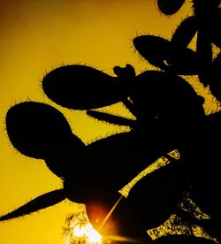 Low angle view of people at sunset