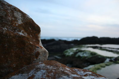 Close-up of rock by sea against sky