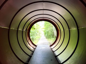 Diminishing perspective of walkway leading towards park