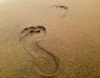 High angle view of footprints on sand at beach