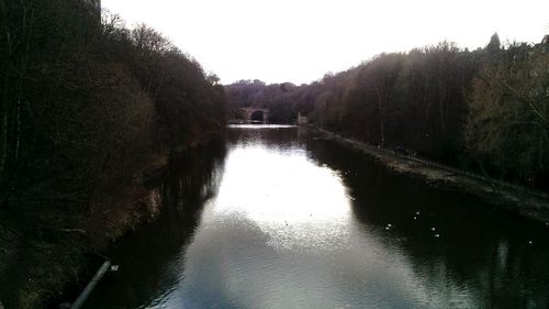 Reflection of trees in river