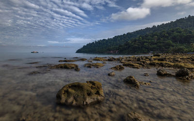 Scenic view of sea against sky