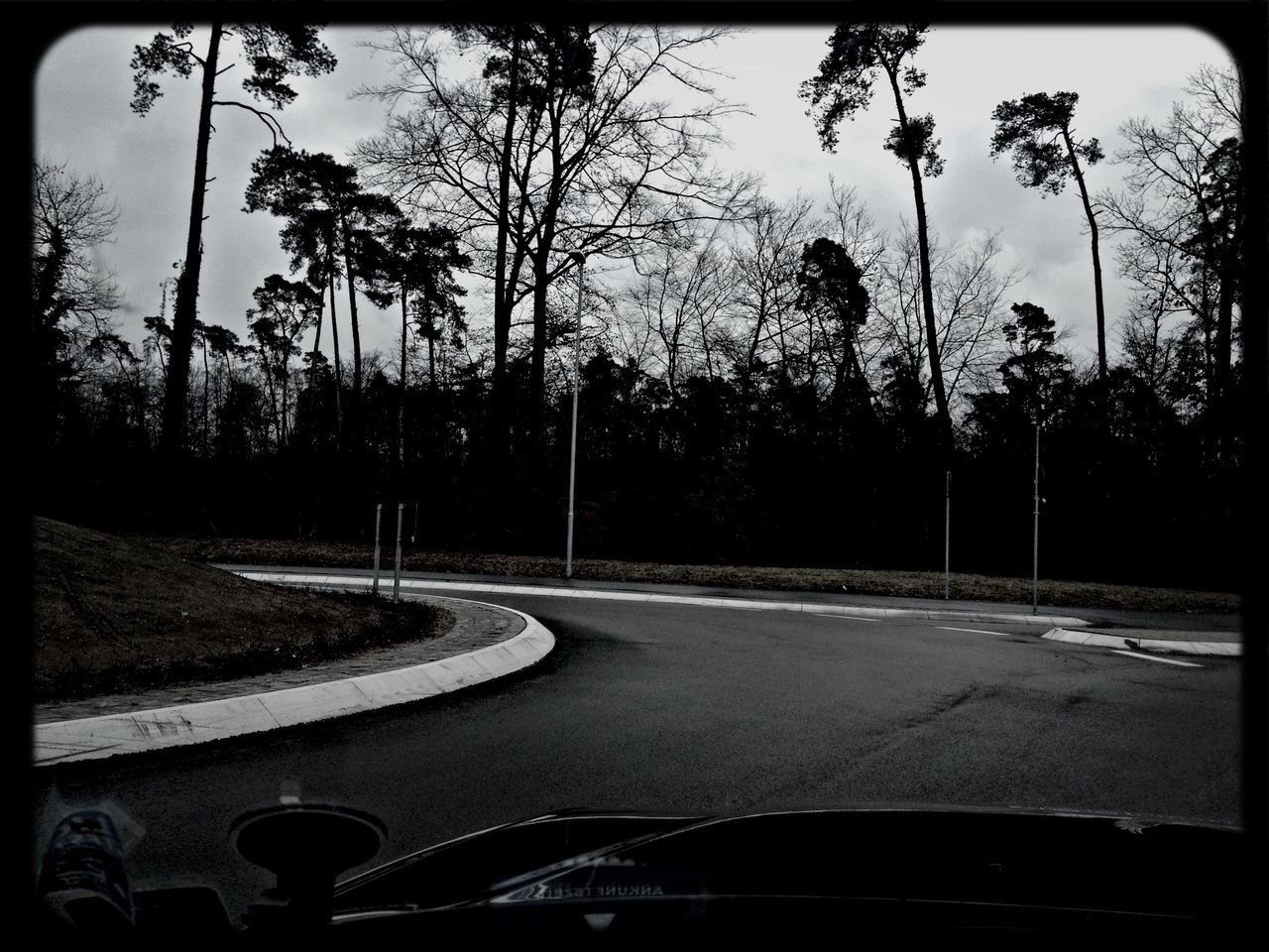 transfer print, tree, road, transportation, the way forward, auto post production filter, road marking, sky, street, diminishing perspective, street light, growth, sunlight, empty, palm tree, asphalt, empty road, vanishing point, tranquility, car