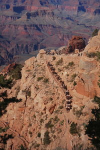 Aerial view of rock formations and people on mules in the grand canyon