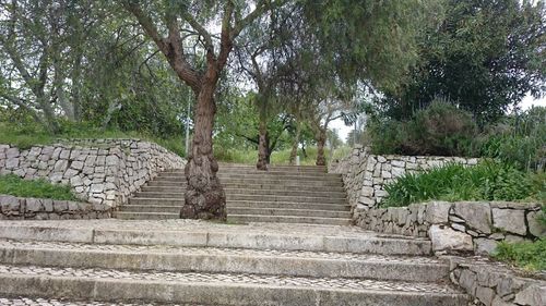 View of staircase