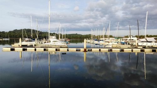 Boats moored at harbor