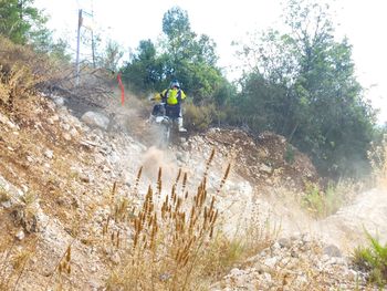 Man riding motorcycle on plants