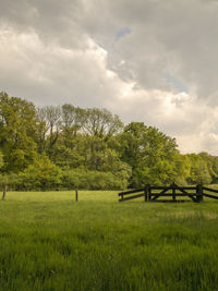 Trees on field against sky