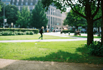 Man in park