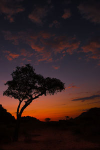 Low angle view of silhouette tree against sky at sunset