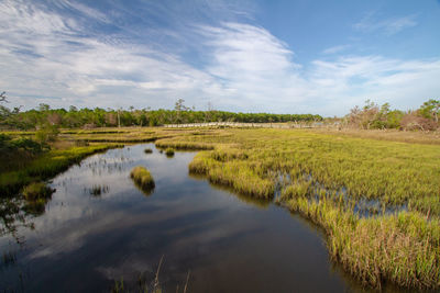 Scenic view of coastal marsh against sky