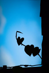 Low angle view of silhouette bird flying against blue sky