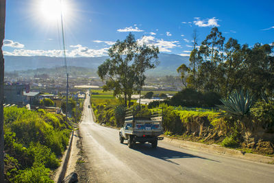 Road with trees in background