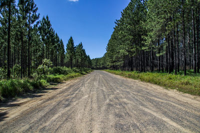 Road amidst trees in forest against clear sky