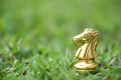 Close-up of knight chess piece on grassy field