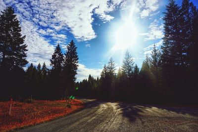 Road amidst trees against sky