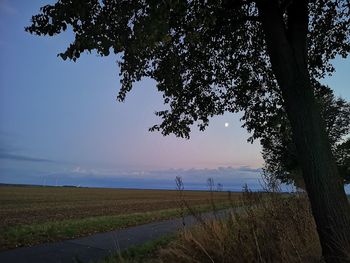 Scenic view of field against sky during sunset