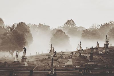 Morning fog in a cemetery 