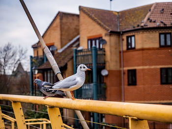 Footbridge flyers 