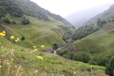 Scenic view of landscape and mountains against sky