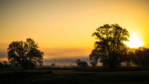 Silhouette trees on field against orange sky