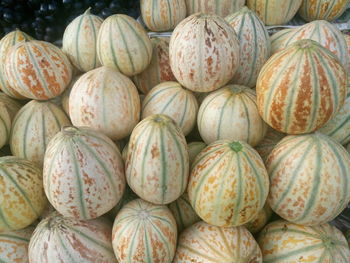 High angle view of muskmelons for sale at market stall