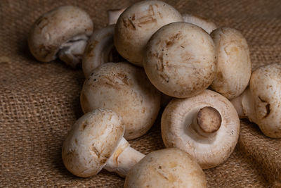 Close-up of mushrooms