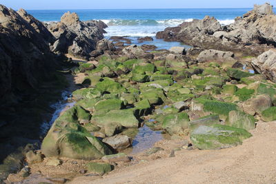 Scenic view of rocks on beach against sky