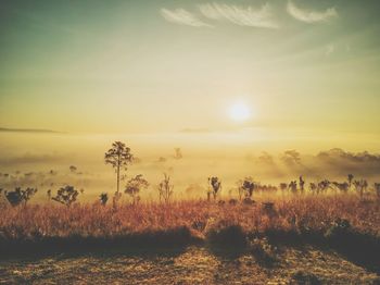 Scenic view of landscape against sky during sunset