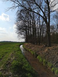 Footpath by bare trees on field against sky