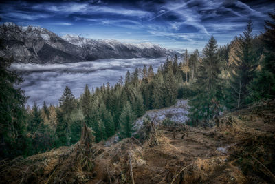 Panoramic view of landscape against sky