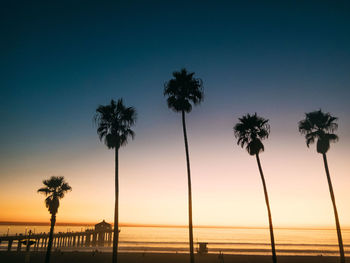 Silhouette palm trees on beach against sky during sunset