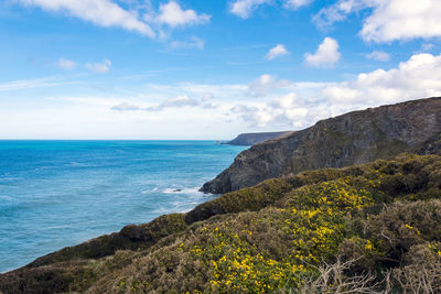 Scenic view of sea against blue sky