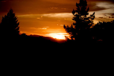 Silhouette trees against dramatic sky during sunset