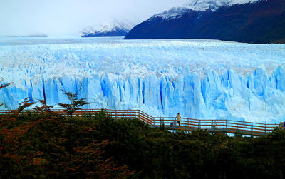 Perito moreno glacier with the viewing balcony and fall foliage, los glaciares patagonia, argentina