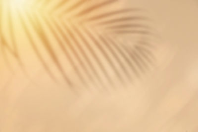 backgrounds