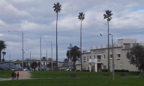 Palm trees against cloudy sky