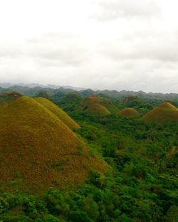 Scenic view of green landscape against sky