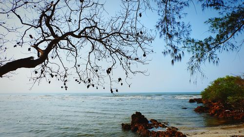 Scenic view of sea against clear sky