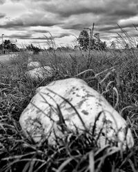 Scenic view of field against cloudy sky