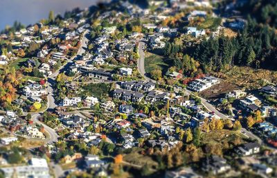 High angle view of trees and buildings in city