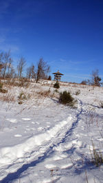 Trees on snow covered landscape