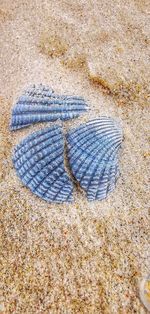 High angle view of heart shape on sand