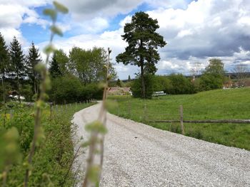 Road by trees against sky