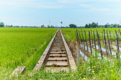 Railroad track amidst field against sky