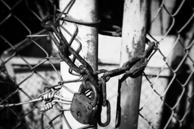 Close-up of barbed wire