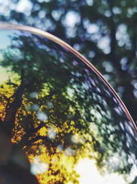 Low angle view of wet plants against sky