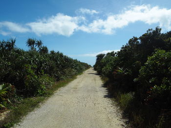 Empty road along plants and trees against sky