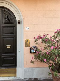 Potted plant against house